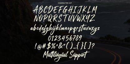 Natiques Font Poster 10