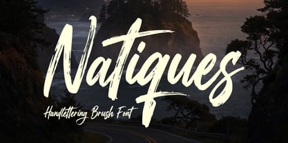 Natiques Font Poster 1