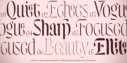 Dh Atilras Font Poster 7
