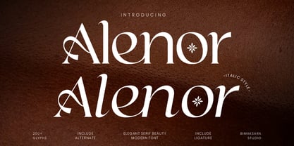 Alenor Font Poster 1