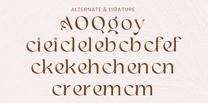 Alenor Font Poster 6