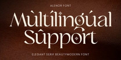 Alenor Font Poster 7