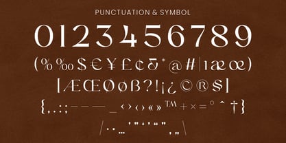 Alenor Font Poster 5