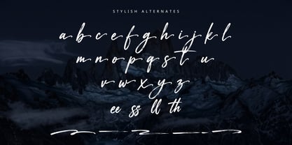 Nassbreng Font Poster 10