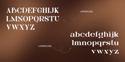 Bagku Fashion Font Poster 3