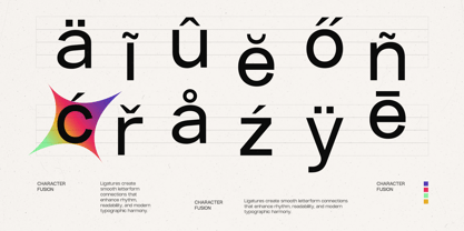 GC Rota Pro Font Poster 7
