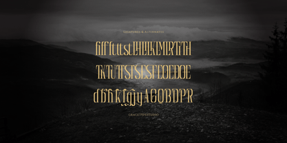Reqaela Font Poster 12