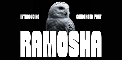 Ramosha Font Poster 1