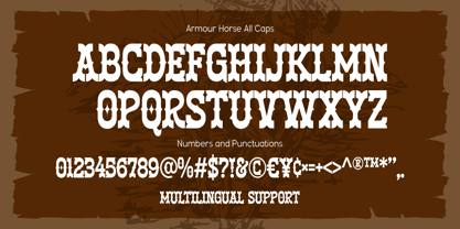 Armour Horse Font Poster 11