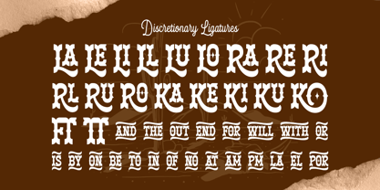 Armour Horse Font Poster 9