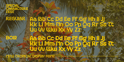 Golden Vogue Font Poster 6