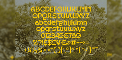Golden Vogue Font Poster 3