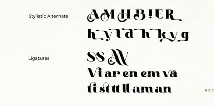 Hisstaz Font Poster 6