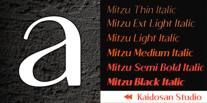 Mitzu Font Poster 4