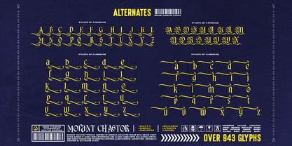 Morant Chastor Font Poster 11
