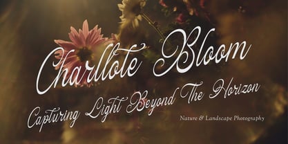 Hauliot Roisy Font Poster 5