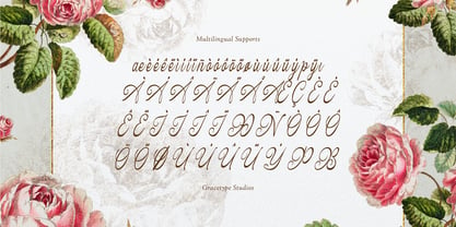 Hauliot Roisy Font Poster 11