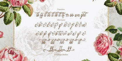 Hauliot Roisy Font Poster 12
