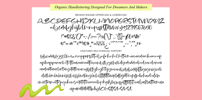 Broken Wasabi Font Poster 10