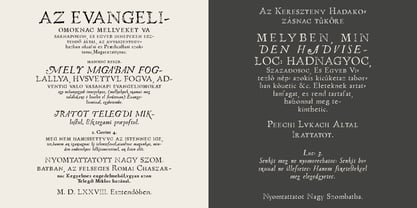 Telegdi Antiqua Font Poster 5