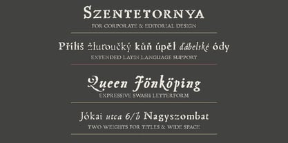 Telegdi Antiqua Font Poster 6
