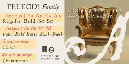Telegdi Antiqua Font Poster 2
