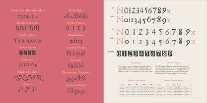 Telegdi Antiqua Font Poster 7