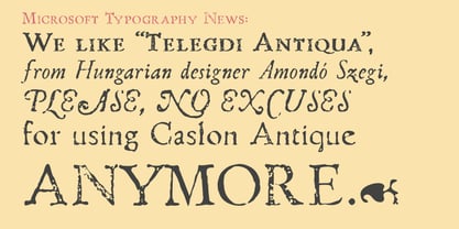 Telegdi Antiqua Font Poster 10