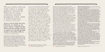 Telegdi Antiqua Font Poster 4