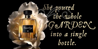 Telegdi Antiqua Font Poster 9