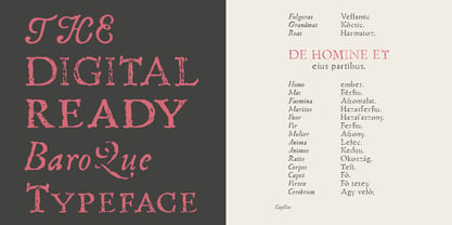 Telegdi Antiqua Font Poster 8