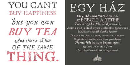 Telegdi Antiqua Font Poster 3
