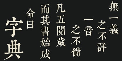 KangXi Dictionary Font Poster 3