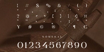 The Lencier Font Poster 3