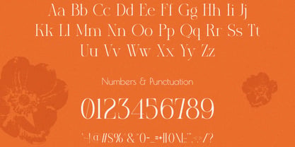 Pludox Font Poster 6