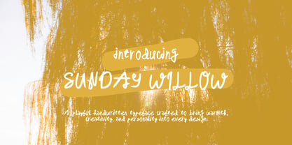 Sunday Willow Font Poster 1
