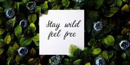 Wild Faroes Cyrillic Font Poster 6