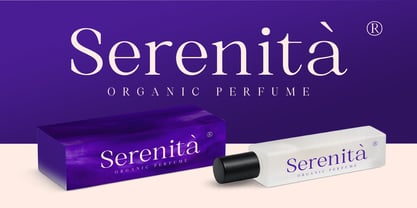 Selnora Font Poster 11