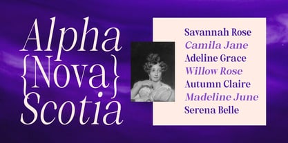 Selnora Font Poster 13