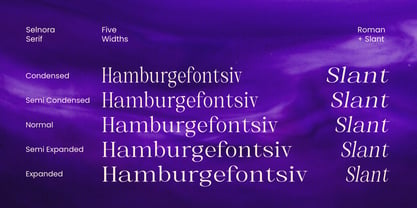 Selnora Font Poster 3