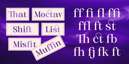 Selnora Font Poster 14