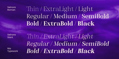 Selnora Font Poster 2