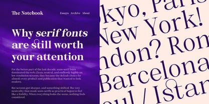 Selnora Font Poster 7