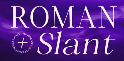 Selnora Font Poster 5