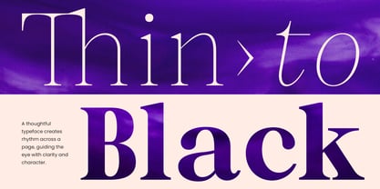Selnora Font Poster 6