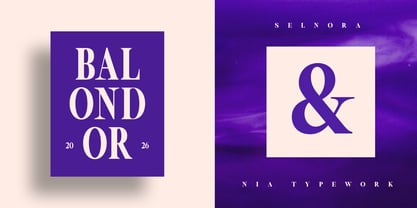 Selnora Font Poster 12