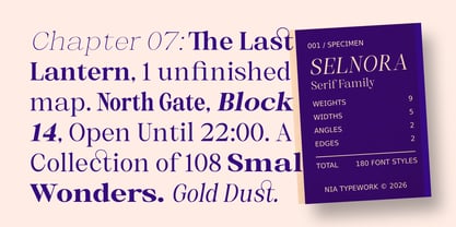 Selnora Font Poster 10
