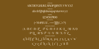 Anolera Font Poster 10