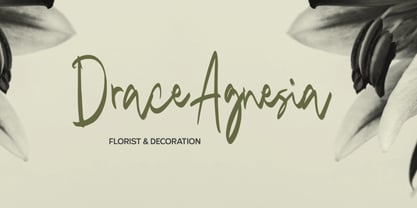Mango Driver Brush Font Poster 7