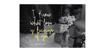 Mango Driver Brush Font Poster 5